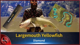 💎 DIME Largemouth Yellowfish 💎 FullCatch   Call of the Wild TheAngler [upl. by Anaul]