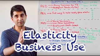 Y1 15 Elasticity  Business Use and Limitations [upl. by Kano849]