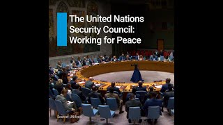 Security Council explainer video [upl. by Apollus526]