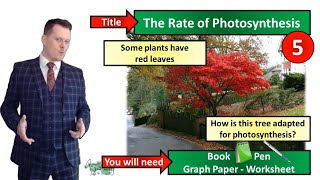 Photosynthesis Limiting Factors and Transpiration  Biology  KS3  Key Stage 3  Mr Deeping [upl. by Ardnuasak]