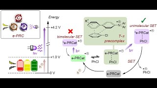 Hole Mediated Photoredox Catalysis [upl. by Kinnon]