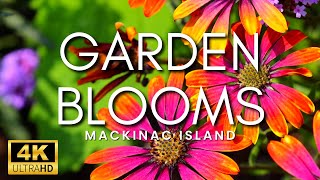 THE MOST BEAUTIFUL GARDENS IN THE WORLD  Stunning Flower Gardens amp Peaceful Music Mackinac Island [upl. by Boser]