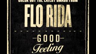 Florida  Good Feeling Avicii Levels Remix [upl. by Aloise706]