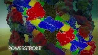 DYNAMIN in CLATHRINmediated endocytosis [upl. by Ietta]