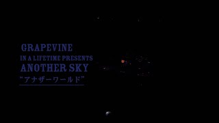 GRAPEVINE  アナザーワールドin a lifetime presents another sky [upl. by Ynney191]