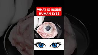 WHAT IS INSIDE HUMAN EYE AMAZING AYATUL KURSI RECITATION shorts [upl. by Dunstan]