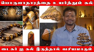 இந்த கல் இருந்தால் போதும் வீட்டில் பண பெருக்கம் அதிகரிக்கும்  பயத்தை போக்கி தைரியத்தை தரும் டைகர் ஐ [upl. by Corie]