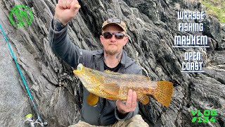 Wrasse Fishing MAYHEM  34 FishDREAM session  Lure and Bait Fishing  Vlog134 [upl. by Savinirs660]