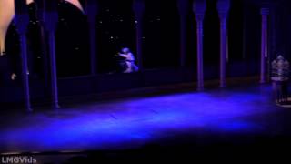 HD Disneys Aladdin Musical Spectacular 2014 California Adventure full complete show 1080p [upl. by Bik]