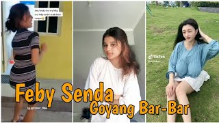 Tik Tok Feby Senda Goyang Viral Tik Tok pemersatubangsa [upl. by Ahsienal484]