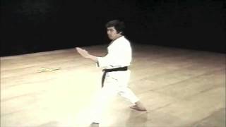 Kata Heian Nidan Kanazawa [upl. by Eldwen]