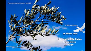 Santa Messa Domenica delle Palme [upl. by Pomfret]