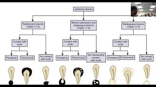 What is Dysplasia  Pathology mini tutorial [upl. by Ezana]