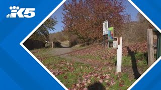 Tacoma police investigating sexual assault at Wapato Hills Park [upl. by Briny]