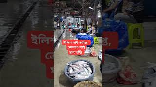 elish fish fishbazar fishing fish elishfish fishcutting fissh seafoodrecipes fishmarket [upl. by Cirle693]