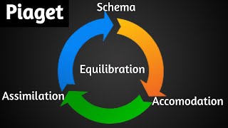 Piaget  Assimilation Accomodation Equilibration Schema  Green Star [upl. by Ernaldus]