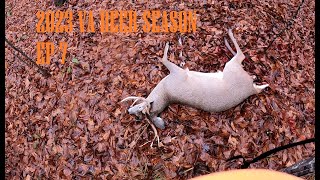 2023 VA DEER SEASONEP 7BIG BUCK KILLED ON CAMERADOG HUNTING IN CENTRAL VIRGINIASHOTS FIRED [upl. by Renat847]