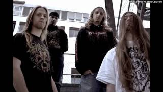 Defeated Sanity  New Song 2011 live  the thousand caves [upl. by Reinhold]