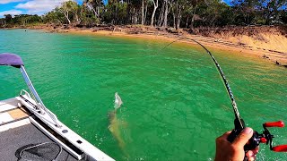 AampB HOOKED 6 Barra and Bullsharks [upl. by Tally]