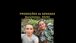 NOVIDADES e PROMOÇÕES da SEMANA  Suculentas 0202 [upl. by Ikila473]