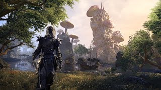 The Elder Scrolls Online  Aldmeri Dominion • All Exploration Music including Summerset [upl. by Asiralc634]