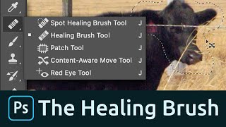 How to Use the Healing Brush Tool in Photoshop [upl. by Alf628]