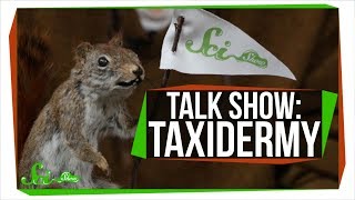 Learn To Taxidermy  SciShow Talk Show [upl. by Aiynat]