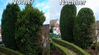 Große Thuja zurückschneiden Hecke schneiden Konifere schneiden STIHL KMA  HLA [upl. by Atterol]