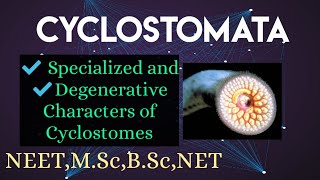 4CyclostomataSpecialised and Degenerate characters For Msc Bsc NEET [upl. by Christianity]