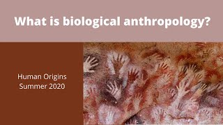 What is biological anthropology [upl. by Settle104]