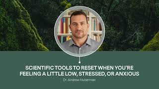 Dr Andrew Huberman Scientific tools to reset when youre feeling low stressed or anxious [upl. by Eppie245]