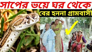 রাসেল ভাইপারের ভয়ে আতংকিত গ্রামবাসী  সাপ  রাসেলস ভাইপার  Russells viper  Russell viper [upl. by Domenic461]