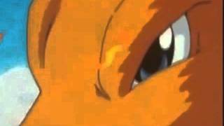 Charizard AMV  Gone Forever [upl. by Martella37]