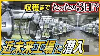 【工場見学】近未来の植物工場がすごい！宇宙船でブロッコリースプラウトを生産【工場へ行こうⅢその２】 [upl. by Ajna]