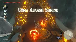 Goma Asaagh Shrine  Hebra Peak  Zelda BOTW [upl. by Gnak]