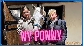 Häng med och hämta hem vår nya Ponny  VLOGG [upl. by Brandon]