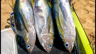 Fishing before Hurricane Lane  Kayak Fishing Hawaii  Flying Fish TV [upl. by Iam]