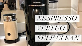 How To Clean Your Nespresso Vertuo [upl. by Eidderf655]