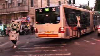 Oorahs Fiveish Directs Traffic in Kikar Shabbos while In Israel [upl. by Ferdinana]