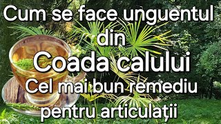 Coada calului  Cel mai puternic remediu pentru articulații oaseosteoporozaligamente [upl. by Rickart]