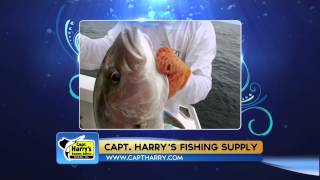 Amberjack  2015  Chevy Florida Insider Fishing Report  Season 11 Episode 18 [upl. by Riva336]