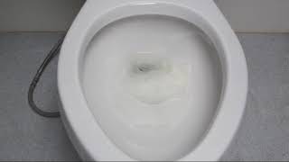 Toilet Flushing Performance Issues [upl. by Katha]