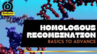 Recombination  Homologous Recombination  Fundamental Processes  Basics to Advance [upl. by Suilenrac999]