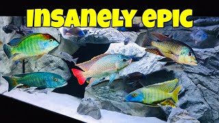 Colorful GREEN African Cichlids Amazing [upl. by Burrow]