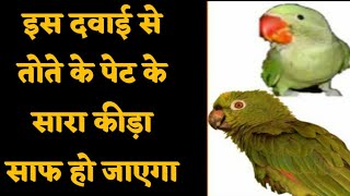 तोता के पेट में कीड़ा हो जाए तो क्या करें  Parrots worming problems and treatment in Hindi [upl. by Katha]