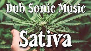 Sonic Sativa Dub Grooves For Elevated Weed Soul amp Mind [upl. by Naut]