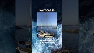 Becoming a yachtsman is not expensive as you think  sailing yachting sailboat [upl. by Euqinehs]