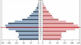 Singapore Population Pyramid 1990  2050mp4 [upl. by Mushro]