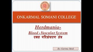 Lt3 Blood Vascular System of Herdmania Zoology Paper1  BSc II Year [upl. by Alfonse]