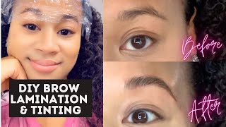 At Home Brow Lamination and Tinting  Before amp After Eyebrow Lamination DIY [upl. by Meehyr]